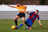 Cheshunt vs Maldon & Tiptree 16/2/2013