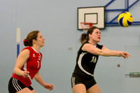Ashcombe Volleyball Season 2012-2013