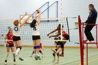 Ashcombe Dorking Vs Team South Wales 25/1/14