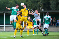 Leatherhead V Eastbourne Borough 30/7/14
